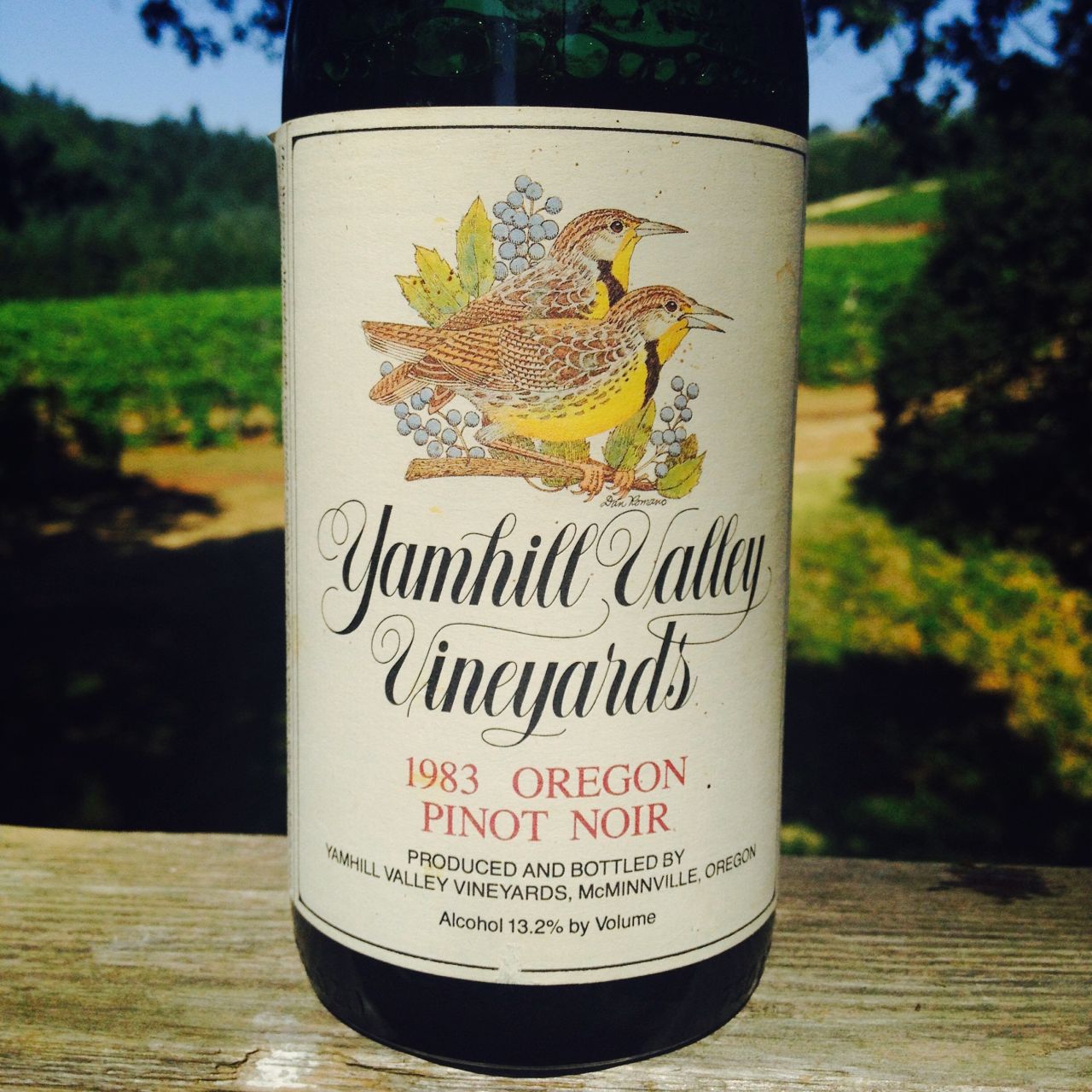 The Burgundy Challenge and Our First Wine