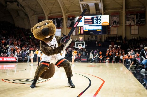 OSU Beavers Mascot with chainsaw on the basketball court.