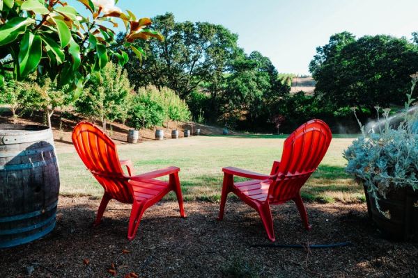 Red Adirondack chairs are available to sit back, relax, and take in the vineyard views
