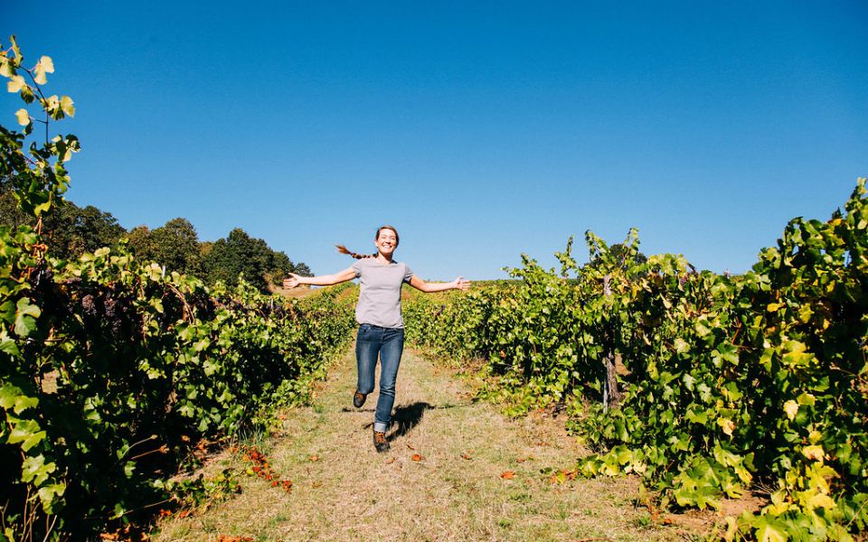 General Manager, Jenny Burger, runs through the vineyard