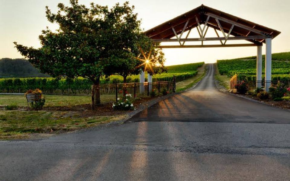 Sunshine greets you at the entrance to Yamhill Valley Vineyards