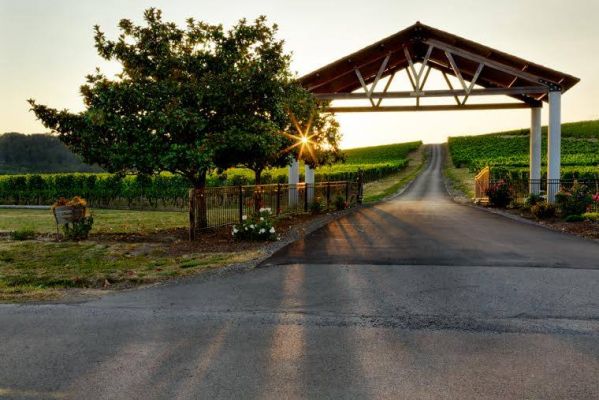 Sunshine greets you at the entrance to Yamhill Valley Vineyards