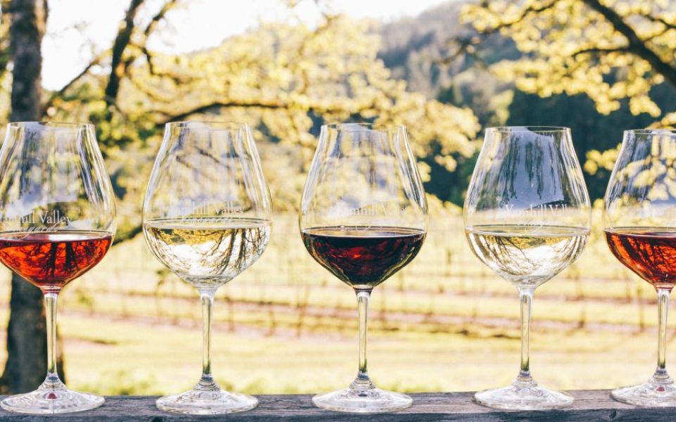 Wine glasses showing off the red, white, and rosé wine we grow and produce.