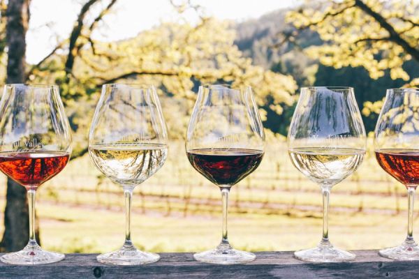 Wine glasses showing off the red, white, and rosé wine we grow and produce.