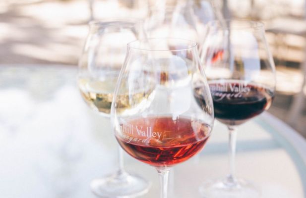 Glasses of red, white, and rosé wines sit on one of our outdoor tables.